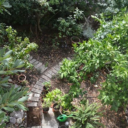 Apartments With A Parking Space Makarska - 11361 Εξωτερικό φωτογραφία