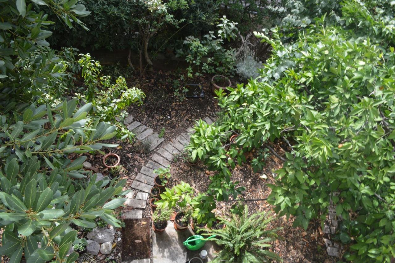 Apartments With A Parking Space Makarska - 11361 Εξωτερικό φωτογραφία